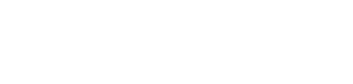 New Zealand Government logo